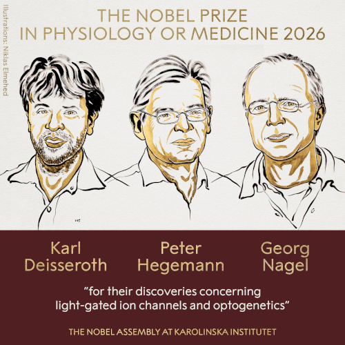premi nobel medicina 2026